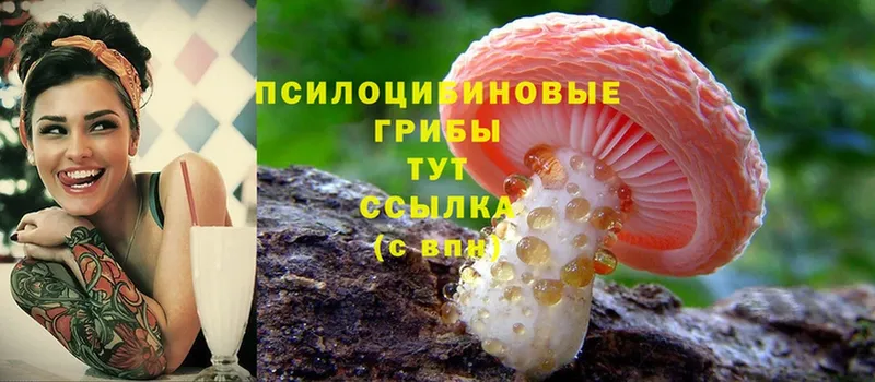 Псилоцибиновые грибы Cubensis  купить наркотик  МЕГА ССЫЛКА  Ужур 